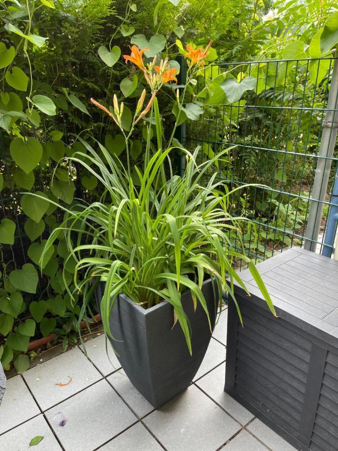 Sonnige Im Zentrum Mit Terrasse U Tiefgarage - Netflix & Prime Apartment *